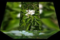 طبیعت قندآب علیا