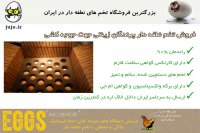 هچ موفق تخم پرندگان زینتی با تخم های نطفه دار تضمینی