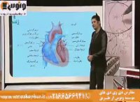 زیست_گردش مواد_آرامفر_موسسه ونوس