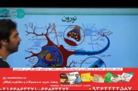 زیست یازدهم امید فراهانی