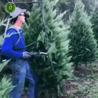 طراحی و اجرای فضای سبز