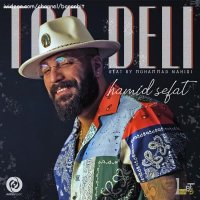 آهنگ جدید حمید صفت  تو دلی