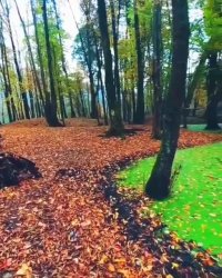 حال جشاتو میخرمفقط بگو چند | کلیپ زیبا | ترانه زیبا و عاشقانه | طبیعت زیبا