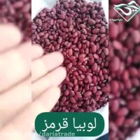 فروش انواع لوبیا به صورت فله و عمده