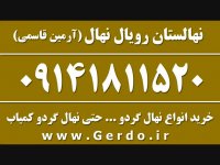 قیمت نهال گردو کاغذی و انواع گردو در نهال فروشی 0914181520