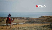 سفر به خطه جنوبی ایران