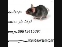 سم موش کش فوق العاده قوی و تاثیر گذار بایر سم