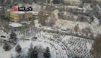 برف مدارس شهرستان های تهران را هم تعطیل کرد