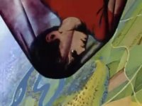 انیمیشن کوتاه " پروانه "