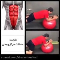 تقویت عضلانی حرکت بدن