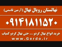 خرید نهال گردو سانلند پیوندی 09141811520