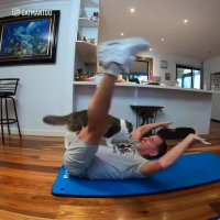 گربه ورزشکار در روزهای قرنطینه