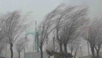 پیش بینی رگبار باران، صاعقه و وزش باد سراسری تا چهارشنبه