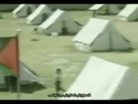 کمپانی ترور