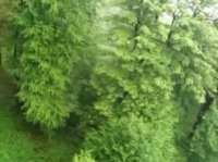 طبیعت زیبای شمال ایران