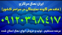 خرید نهال گردو خوشه ای پاکوتاه | 09121243597