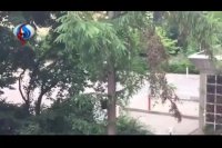 نخستین فیلم از حمله به مرکز تجاری در مونیخ