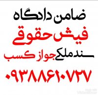 ضامن برای دادگاه