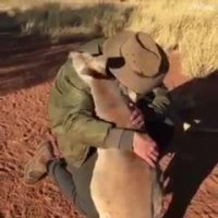 قدردانی حیوانات از کسانی که نجاتشان دادند