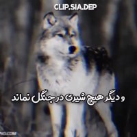 وضعیت واتساپ