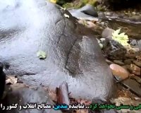 ویراژ لندکروز آقازاده دانشگاه آزاد، با پلاک قلابی!