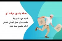 باربری پونک