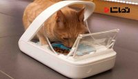 ظرف غذای هوشمند حیوانات خانگی