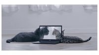 تریلر متفاوت " Acer Swift 5 " - قسمت سوم