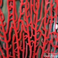 مخملپاش09192075483