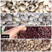 قیمت عمده انواع لوبیا در سال 1399