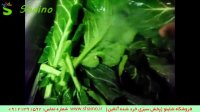 شستن سبزی خرد شده | شستن سبزی خرد شده