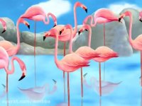 آموزش زبان انگلیسی به کودکان : آموزش حرف Z