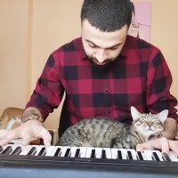 وقتی گربه ی بامزه با صدای پیانو خوابش می بره