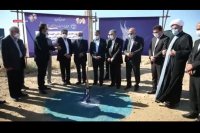 اجرای طرح تولید بچه ماهی سی باس در استان بوشهر