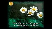 قرائت فرازی از مناجات حضرت امیرالمؤمنین ع.