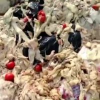 این ویدیو را ببینید و سوسیس کالباس بخورید !!!