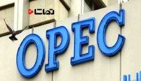 تمدید کاهش سهمیه های نفت اوپک