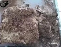 مراحل بازشدن خاک کوکوپیت