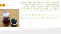 خواص درمانی سیاه دانه وعسل برای سلامتی و لاغری