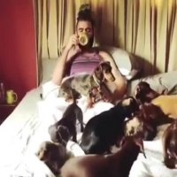 زندگی عجیب با سگ ها