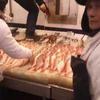 وقتی با لنگ کفش روی ماهی‌ها بپری