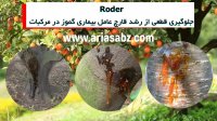 قوی ترین قارچ کش مرکبات | Roder | رودر