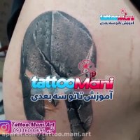 تتو گلادیاتور روی بازو