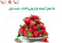 آمیخته بازاریابی- 18P (قسمت اول: 4P)