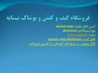 کیف و کفش تیساپه