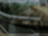 پترن 09190924535هیدروگرافیک /واترترانسفر