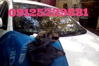 ترمیم دو عدد سنگ خوردگی شیشه در کنار هم 09125239881_02144145701