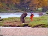 خرس در برابر انسان