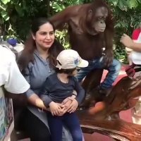 کلیپ های خنده دار ببینید