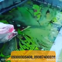 دستگاه مخمل پاش /ساخت وان هیئروگرافیک09300305408